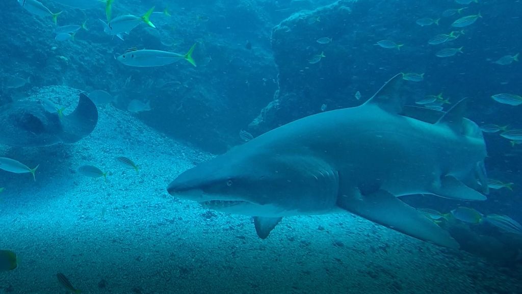 df02599d-63b4-4417-98b6-78f1c1c9e924