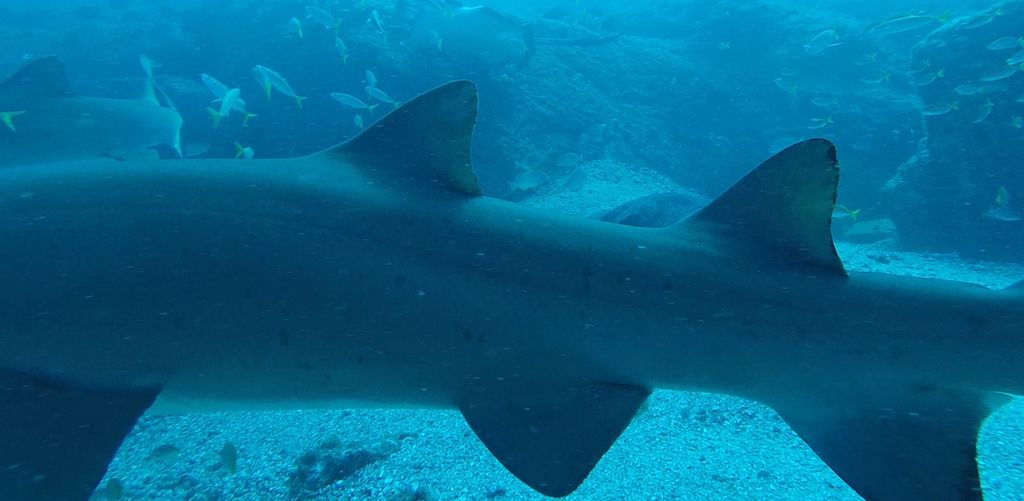 df02599d-63b4-4417-98b6-78f1c1c9e924