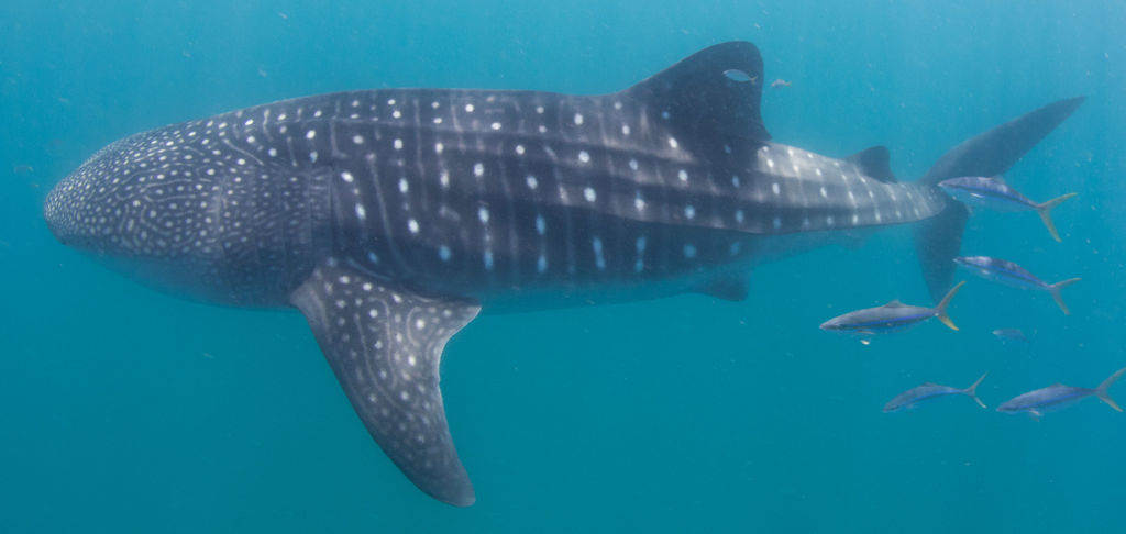 9d60f5b3-823d-4f6b-acb8-4a17da60ef5a