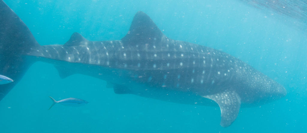 9d60f5b3-823d-4f6b-acb8-4a17da60ef5a