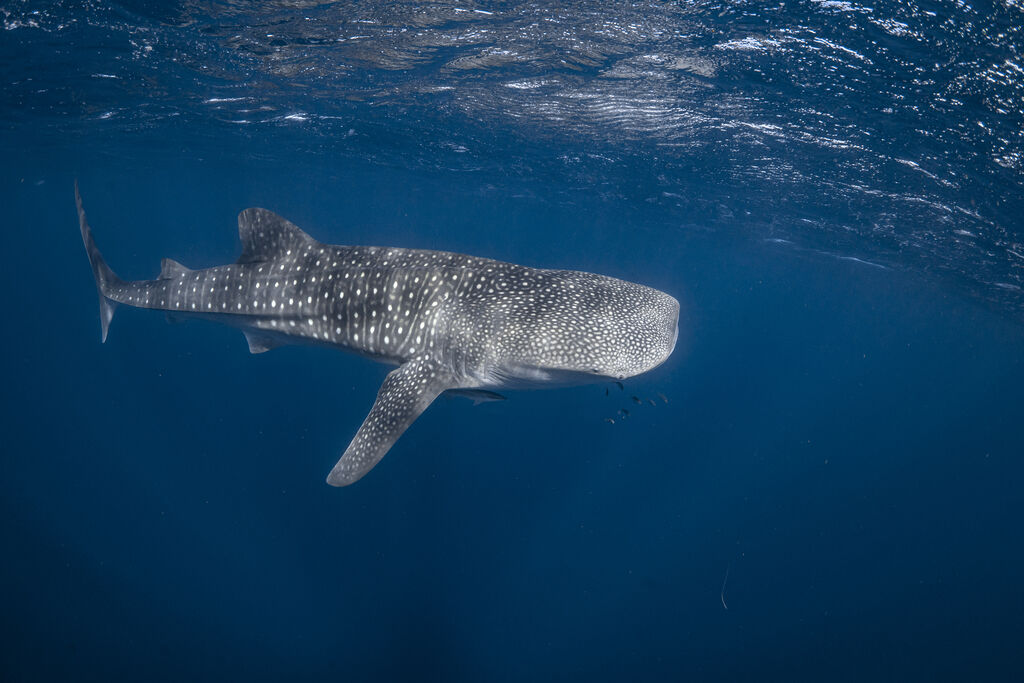 3b12838e-f314-4675-9f35-c61dedf4abe4