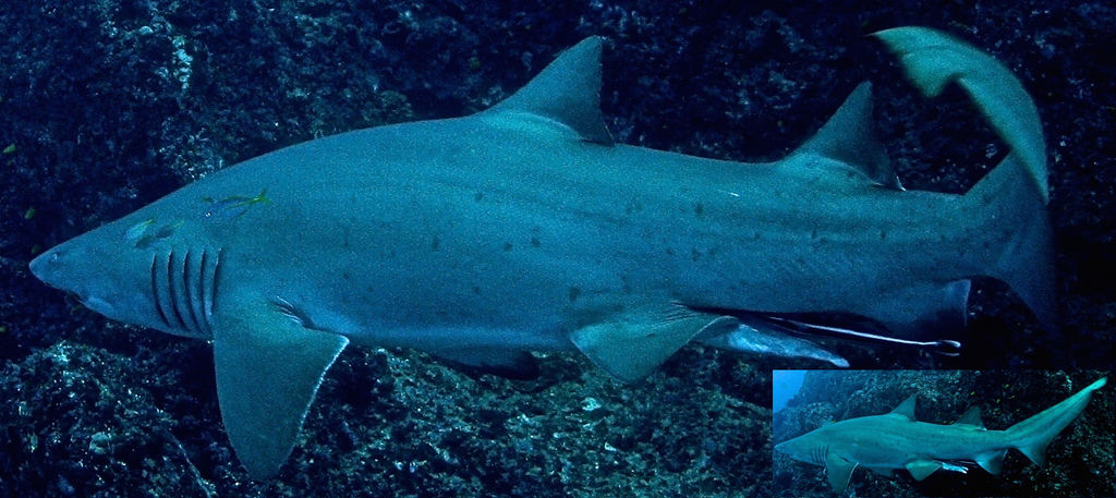 571e7931-8f34-47ad-a39a-7900f9c3d8b0