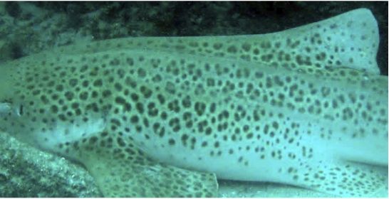 7d369f7a-3d0a-438e-ae4d-2d5870c0eb96