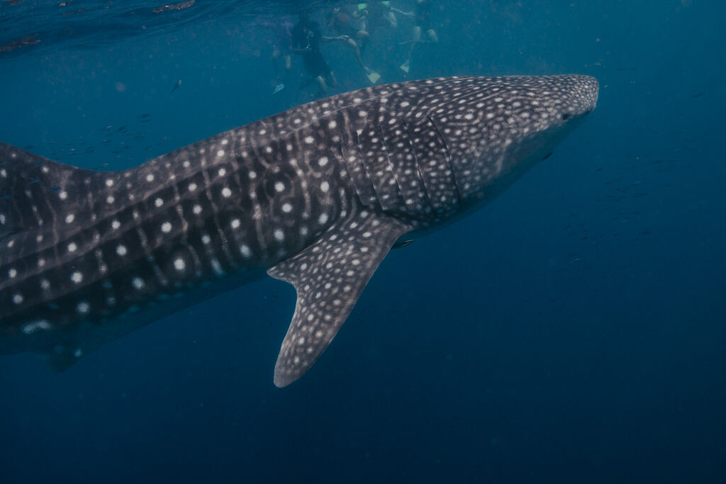 f0cce4e7-7fab-47ca-a437-72b21d56fcf3