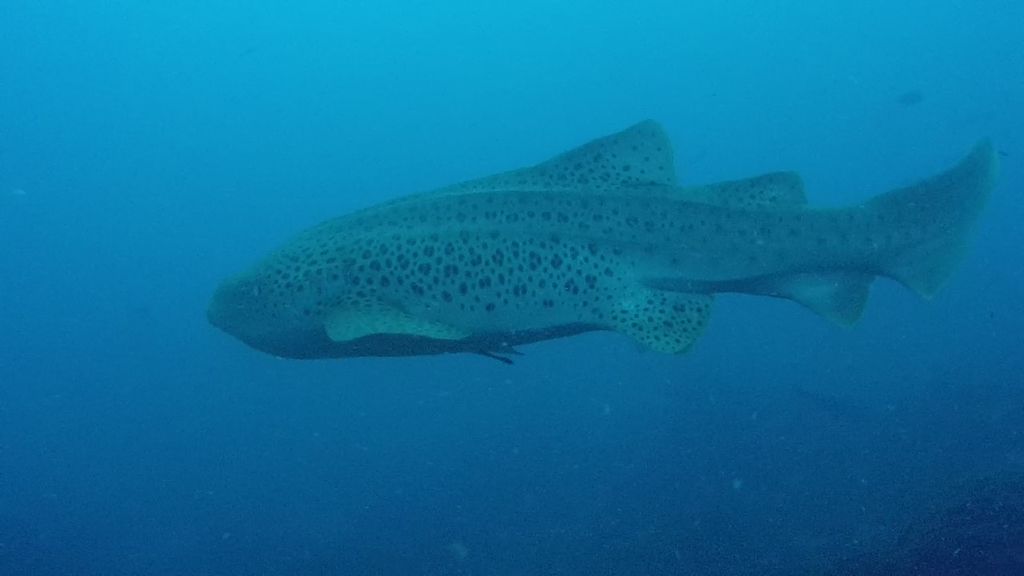 fb099ea0-0945-44b8-aedc-cee740e0e134