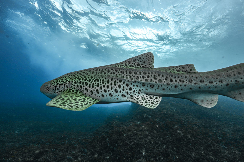 139e05c7-5c52-4353-8b19-a2b3d1ce242b