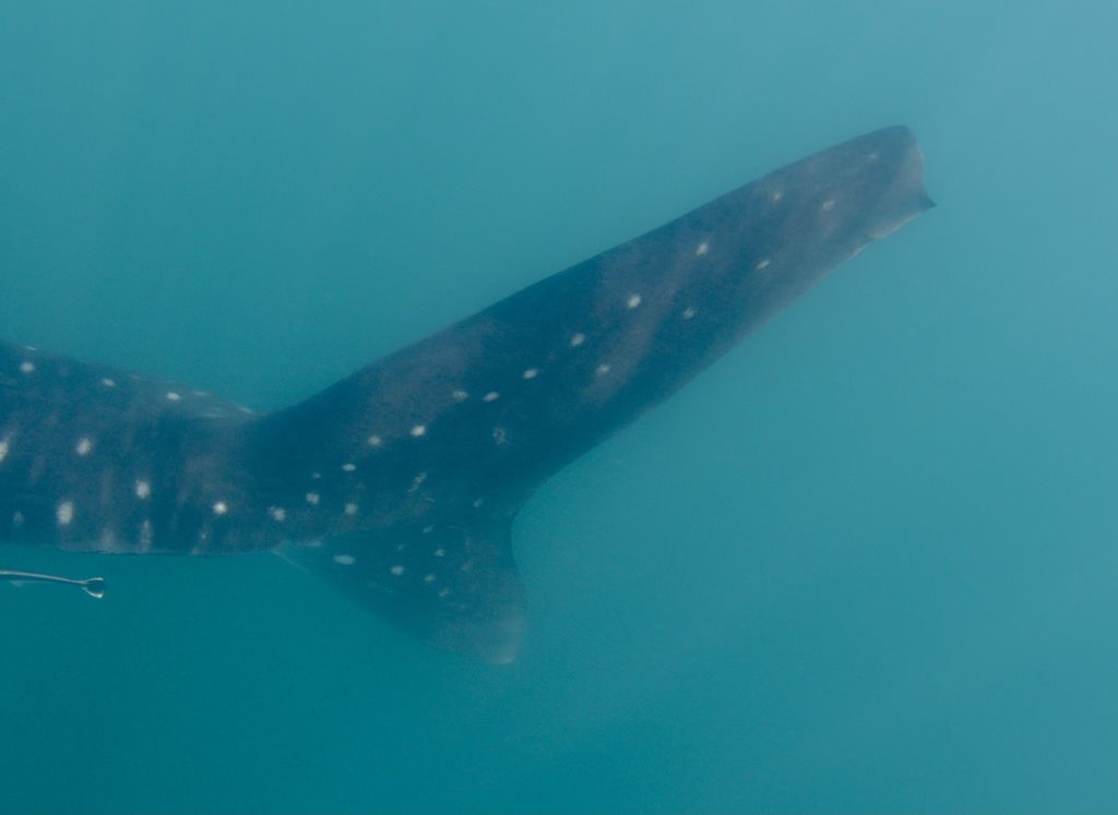 23259b2f-14a6-4aed-8ac9-367ddc4d5b95