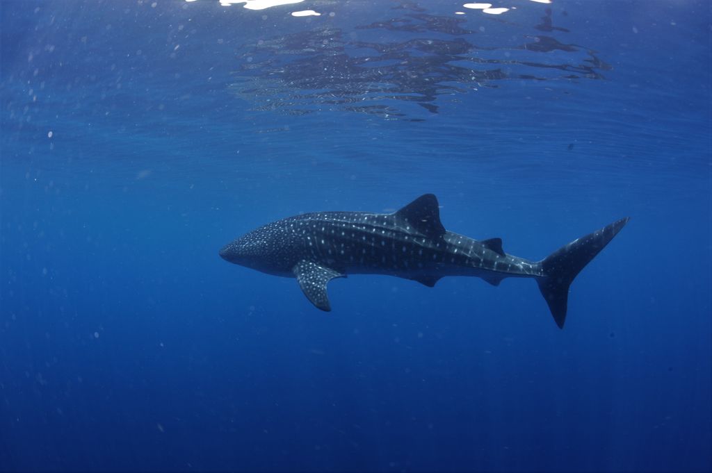 d2e5c389-6316-4e52-b9ce-c05475acb0d9