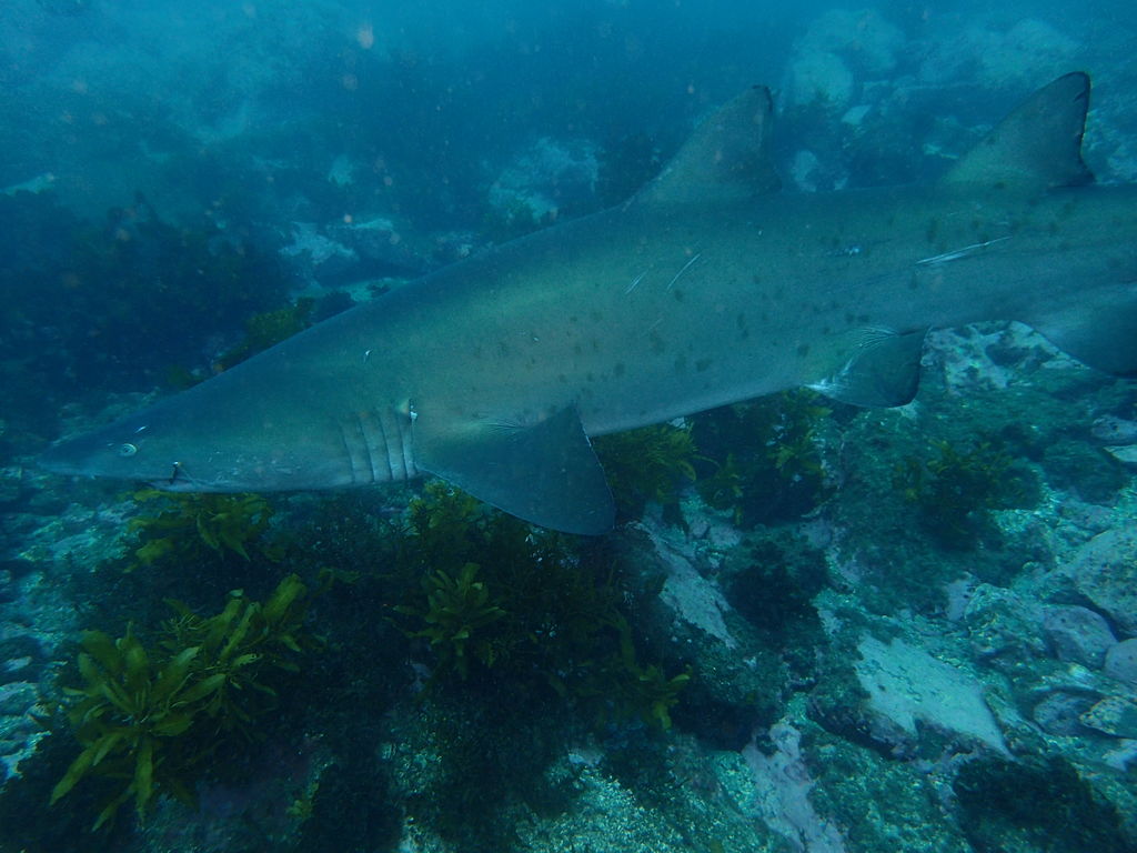 0b0bacea-26c4-4cea-867b-2fe6af004219