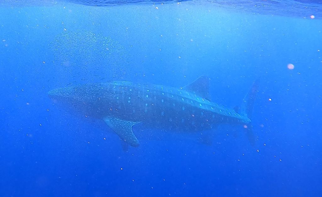 7745c9fd-724f-4f14-9f64-e6dda346cbee