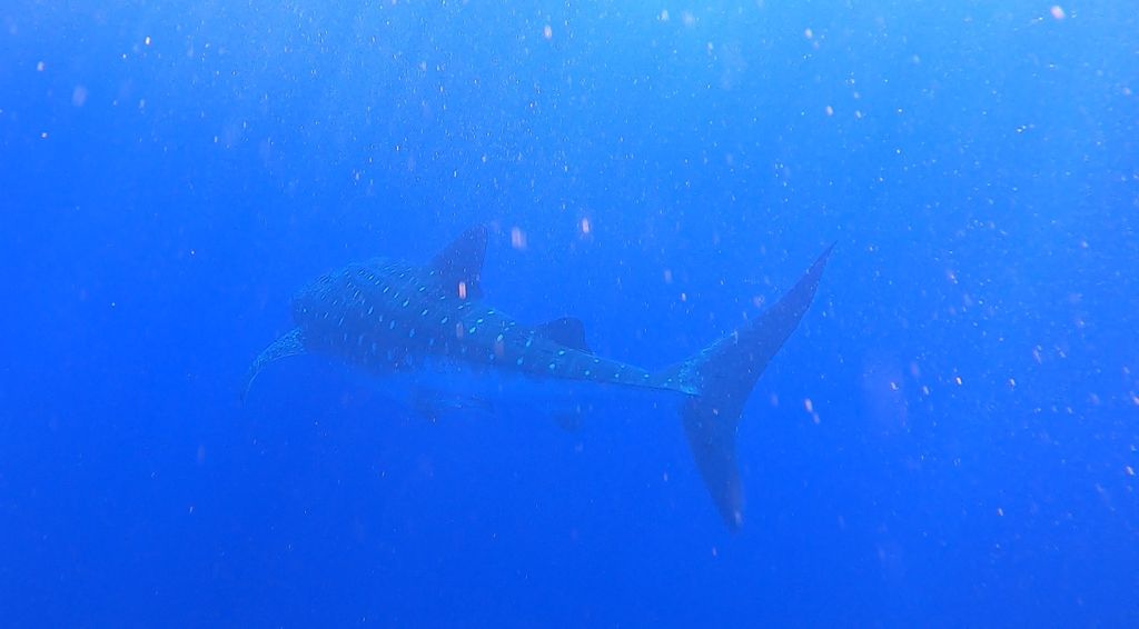 7745c9fd-724f-4f14-9f64-e6dda346cbee