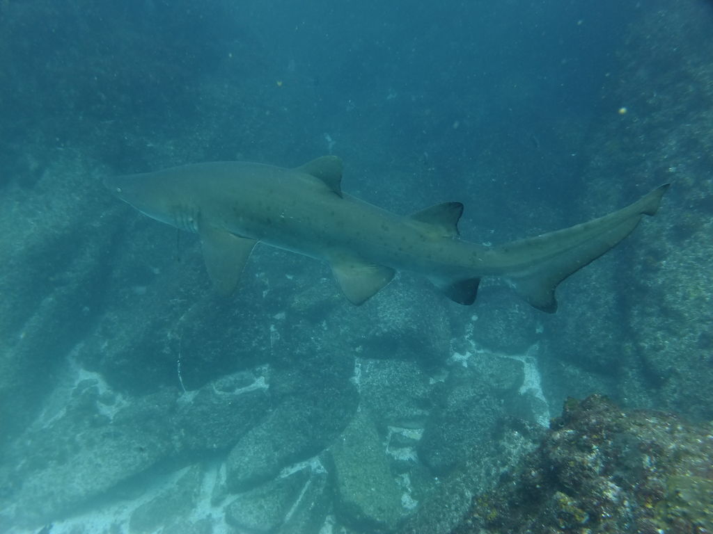 7bd6d07c-b379-45ec-8205-e17517a21653