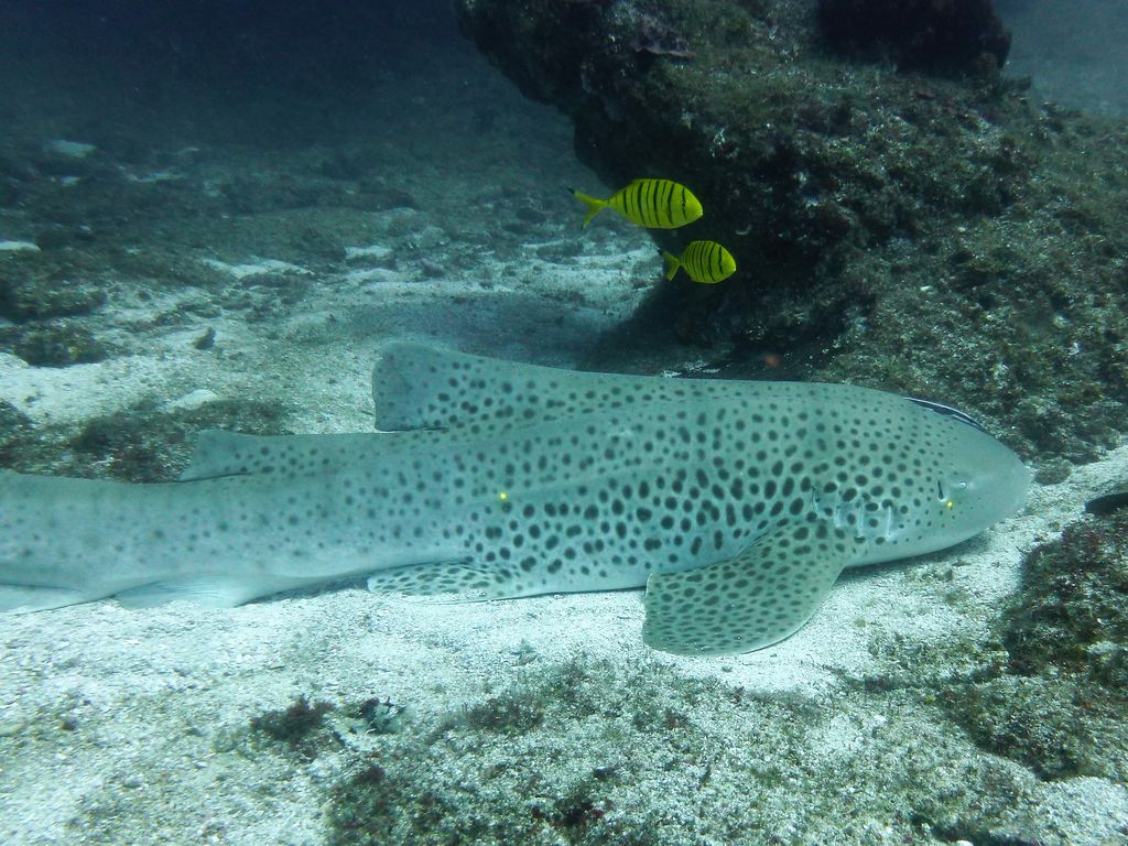 db921c29-7a44-4bcf-bb9d-d14dcf6e4e8f