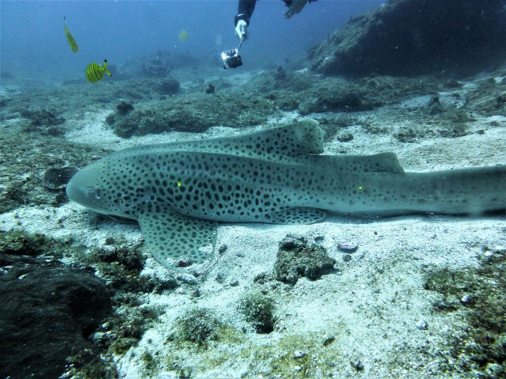 db921c29-7a44-4bcf-bb9d-d14dcf6e4e8f