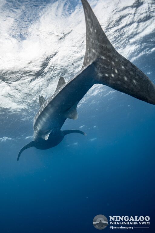 6ccce15c-57ef-46b0-82c0-9eb370118b70