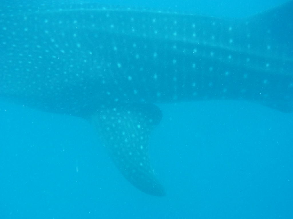 8d6ef298-547b-4dc5-9ef8-5f9f0fd08c22