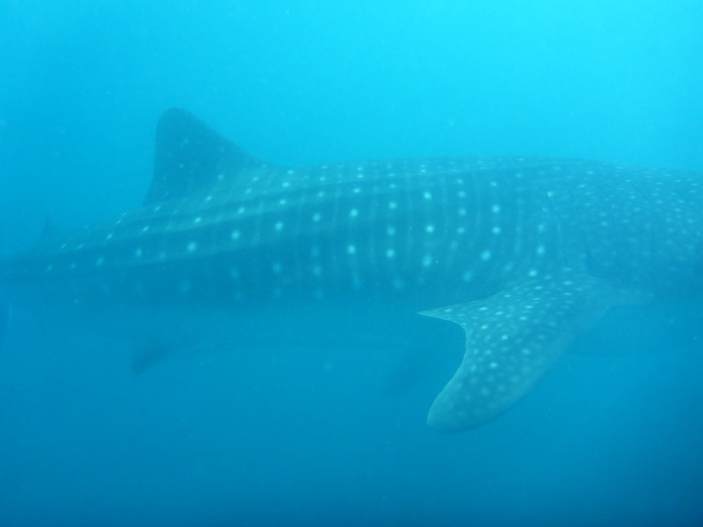 8d6ef298-547b-4dc5-9ef8-5f9f0fd08c22