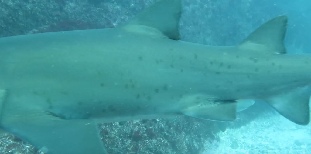 66924c5d-465a-4000-9d20-076a48371caa