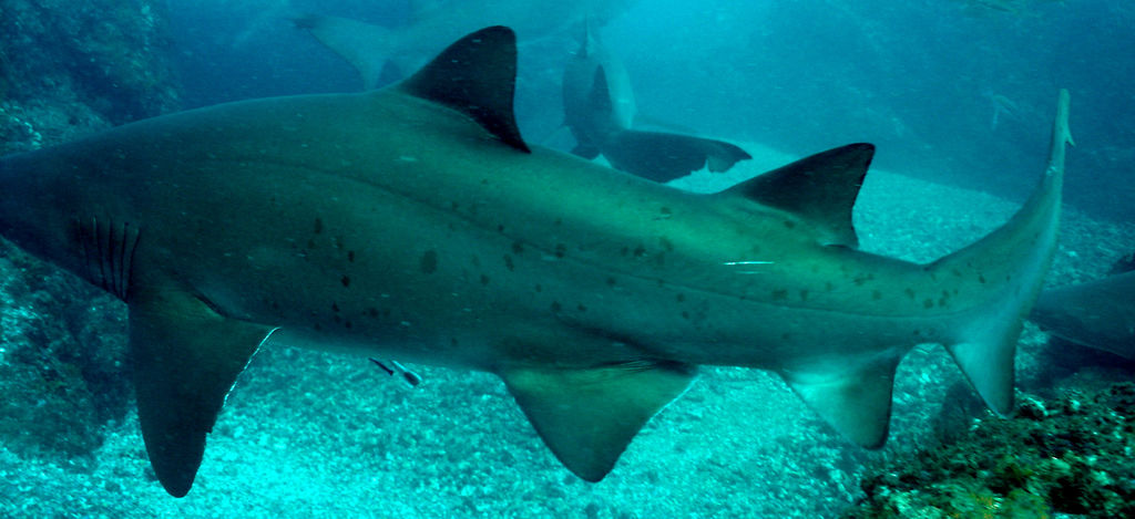 be8afa28-24eb-40cc-acaf-773d20aa306f