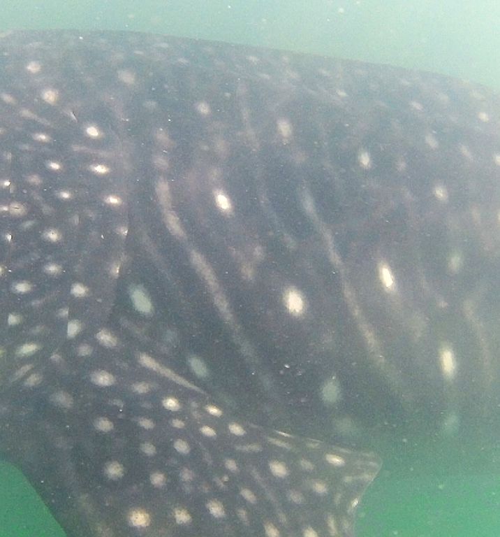 8ec72ce0-1807-47c0-9718-2ff839a599fb