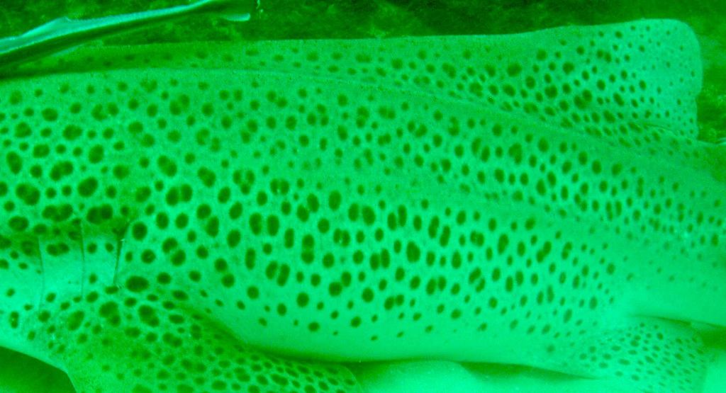 27086bbc-41e7-4b65-a3de-3438f0887c16