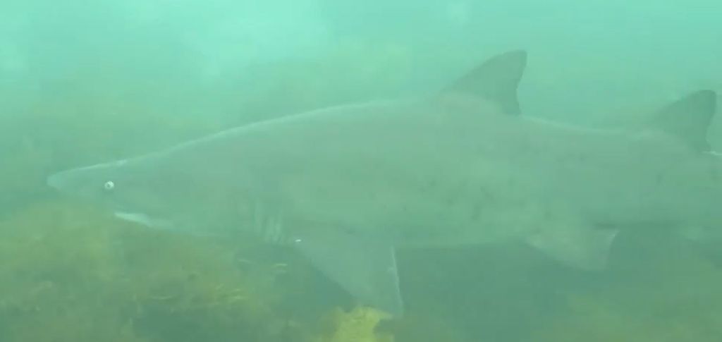 835b77aa-9e1e-4e36-af9a-60887300d937