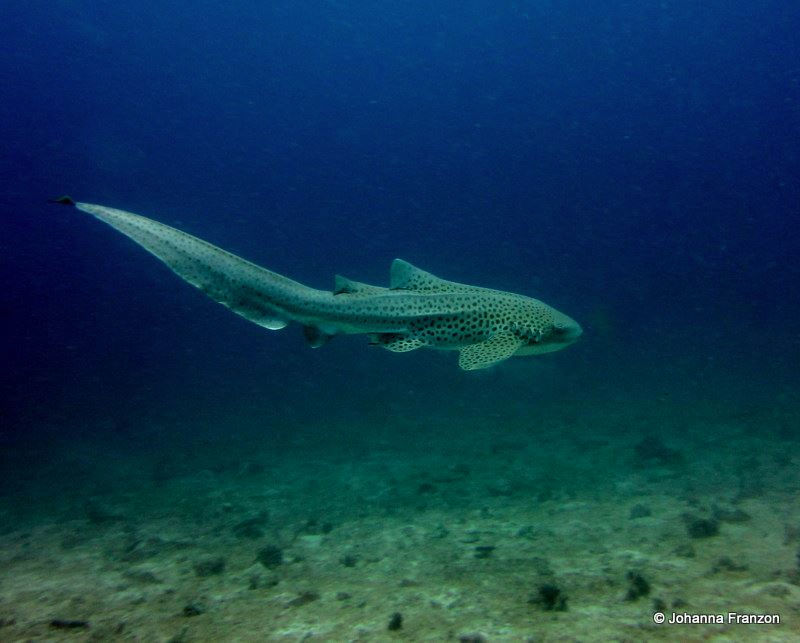 a21b2a10-7514-4627-af11-7cba2a544e35