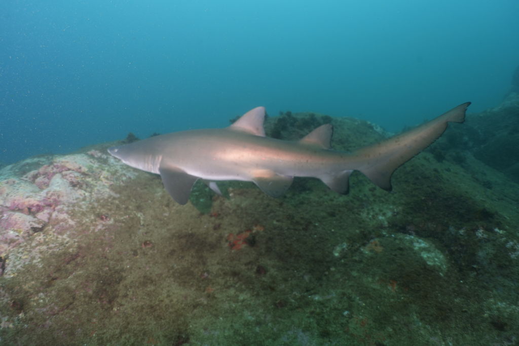 f794932c-58d1-4bfe-8d16-0ea38accaf8c