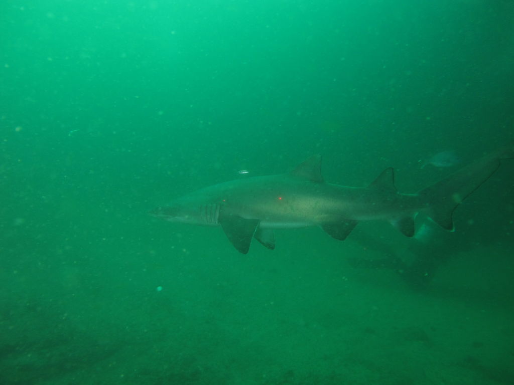 c10b9abe-a11f-4546-bf02-68171e5c7118