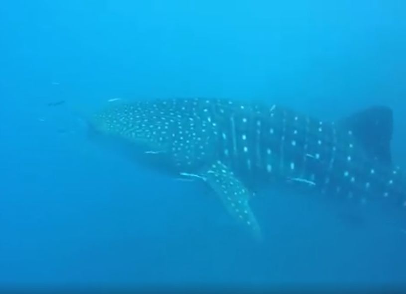 b7b32193-11ec-4bc5-93b6-918cc26be58e