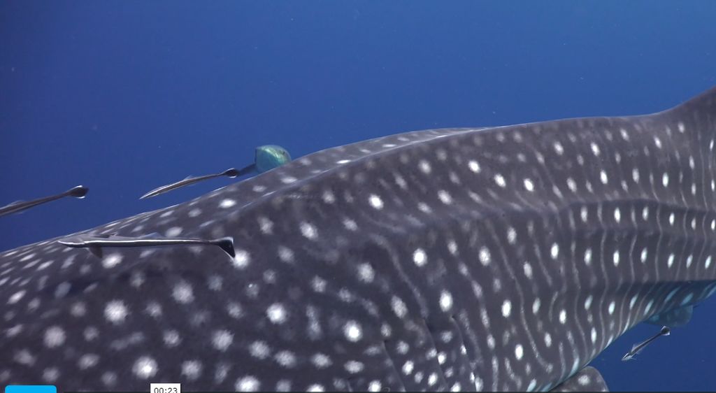 b7b32193-11ec-4bc5-93b6-918cc26be58e