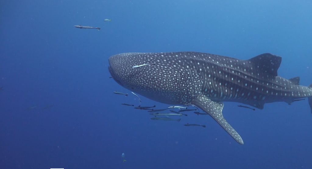 b7b32193-11ec-4bc5-93b6-918cc26be58e