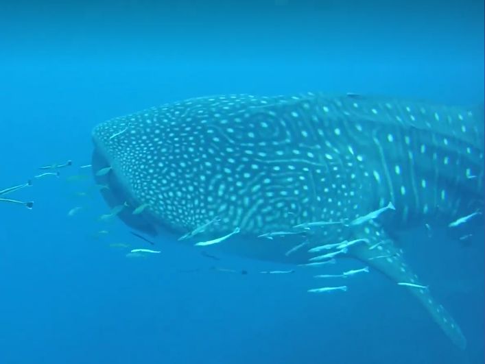 b7b32193-11ec-4bc5-93b6-918cc26be58e