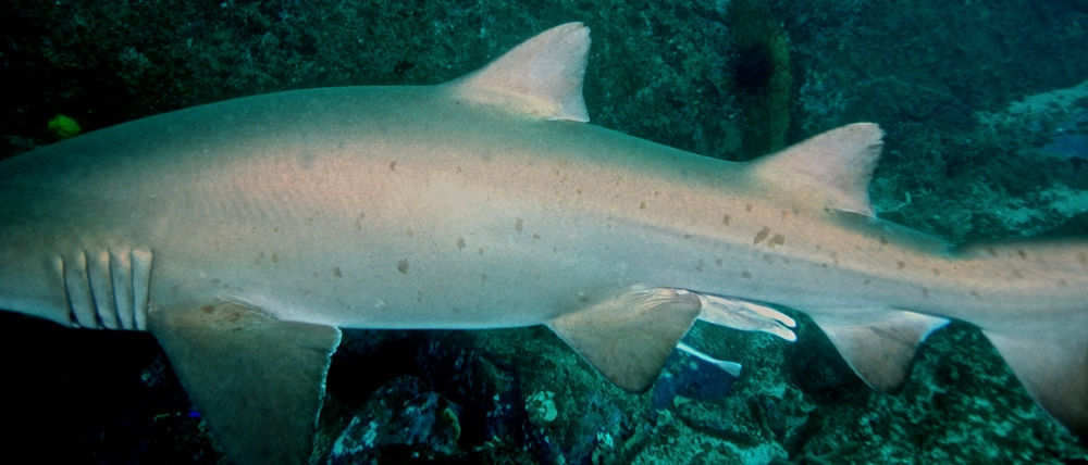 3c9e6d75-430f-49a0-9b68-fdbd7fbf04ac