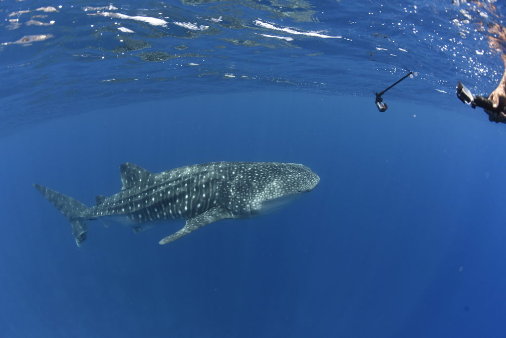 b59f4dc5-6468-40d4-a533-ff8288cf5258