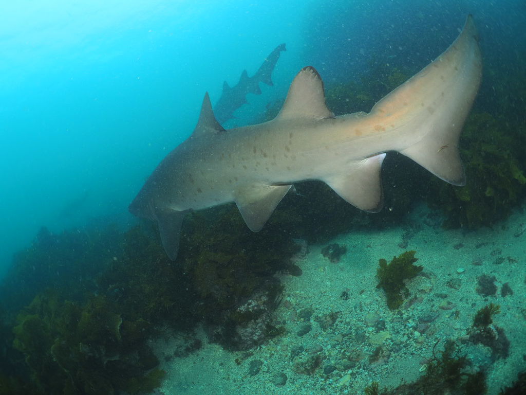 e6dd910f-264e-43b6-87f3-73196477e17f