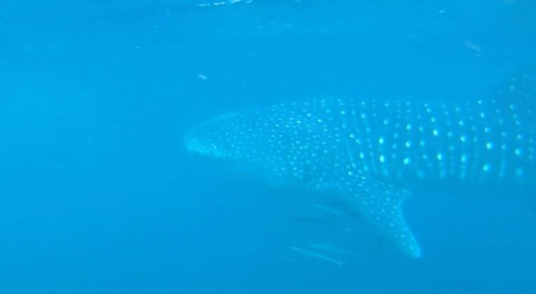 2bd94a93-96c1-4e6c-8420-de168f2693ac