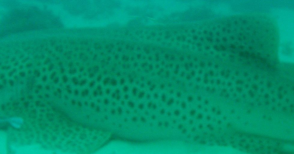 e692352e-091c-40fd-8900-6b35eb12c6c3