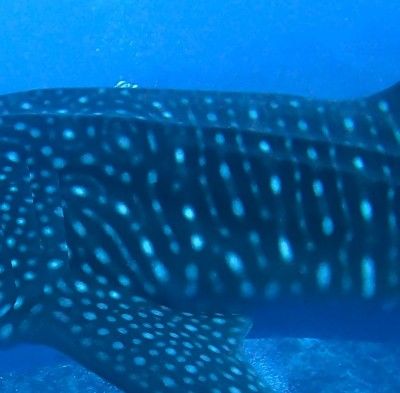 541ca7bc-705b-4f0c-8601-b268577592c1