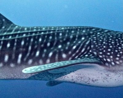 541ca7bc-705b-4f0c-8601-b268577592c1