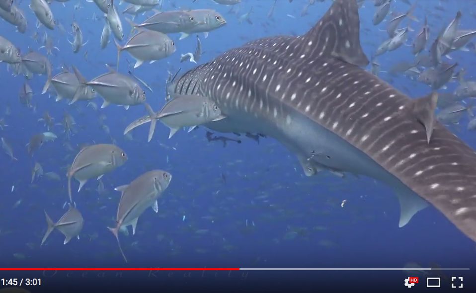 bc115cb7-6b4f-4fd6-af27-282de09b8ed2