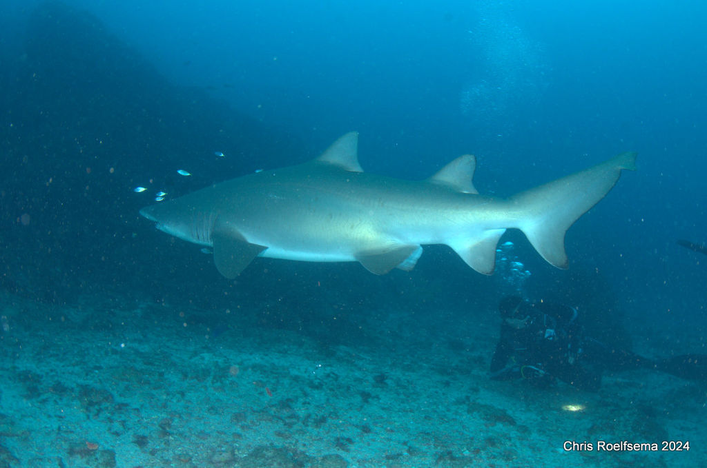 6e110d14-8300-41c7-a309-a082f8ad0b42