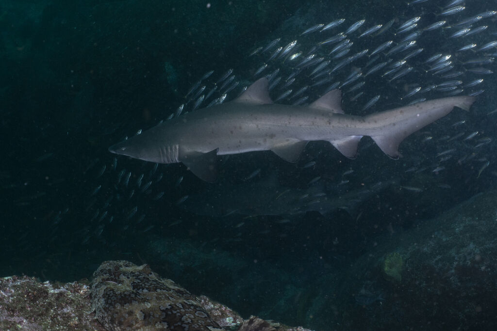 a8d9ea96-2f12-4445-a482-74925eb06fa9