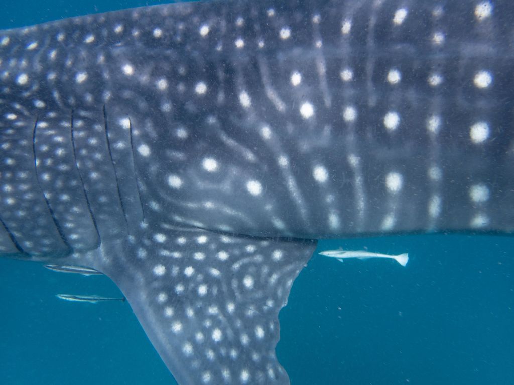 3f22200e-03ff-4870-98f1-df51e2525ce5