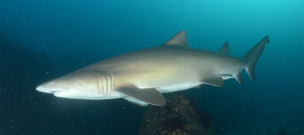 be6cd894-0b07-4ec8-bf2f-a754fc360652