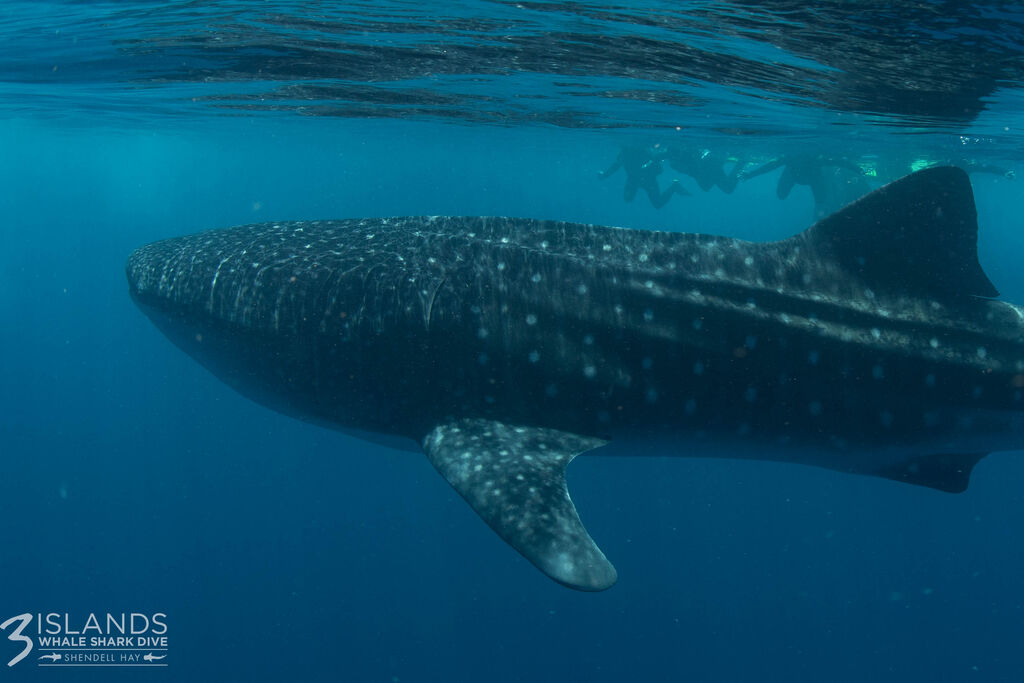 7dccdaa3-6b53-4442-9b26-57f3590d343e