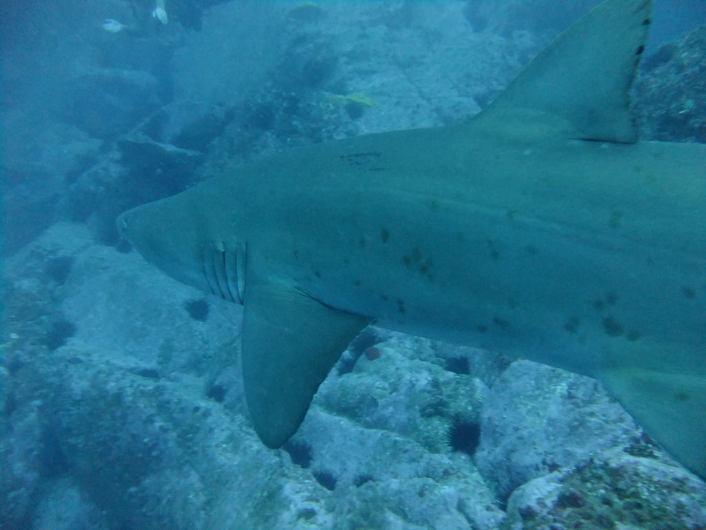 c7dfd18c-19ee-4eef-9a62-395bb7cf8cb9