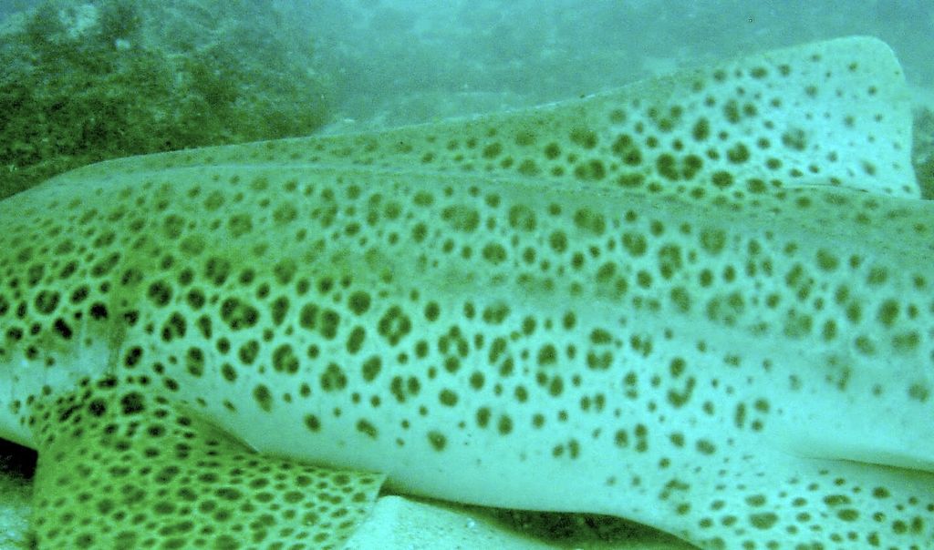 5b591f4f-f1e7-42c0-9621-cef10392b35b