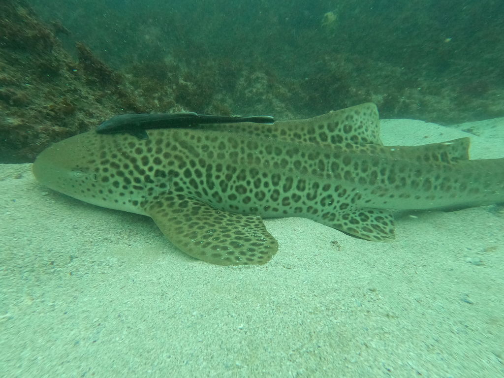 74dbeb57-183a-4738-8090-55175ca3d6e8