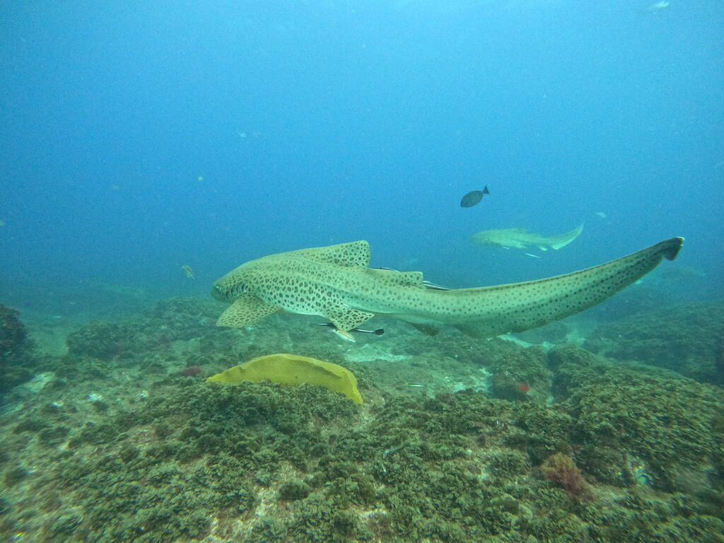 91d2a2ce-13ba-4ebe-b62b-7b579133a35e